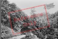Dene 1886, Castle Eden