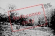 The Dene c.1886, Castle Eden