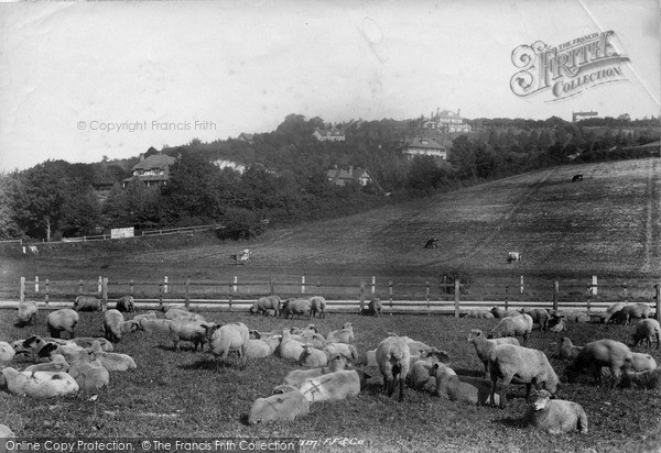 Photo of Caterham, 1900