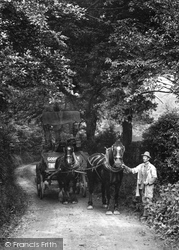 Horse And Cart In Tupwood Lane 1907, Caterham