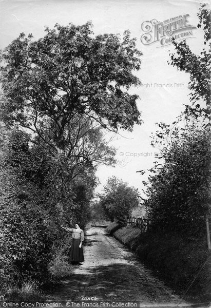 Photo of Caterham, Tillingdown Lane 1908