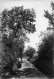 Tillingdown Lane 1908, Caterham