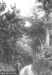 Tupwood Lane 1907, Caterham