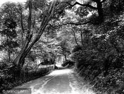 Waller Lane 1925, Caterham