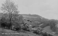 White Hills 1919, Caterham