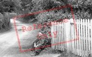 Young Man In Stanstead Road 1907, Caterham