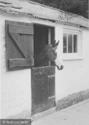 Borwick's Farm School Of Equitation c.1960, Caton