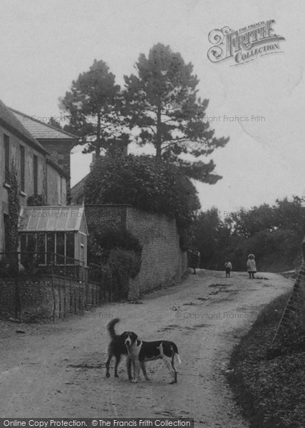 Photo of Cattistock, A Village Meeting 1906