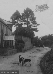 A Village Meeting 1906, Cattistock