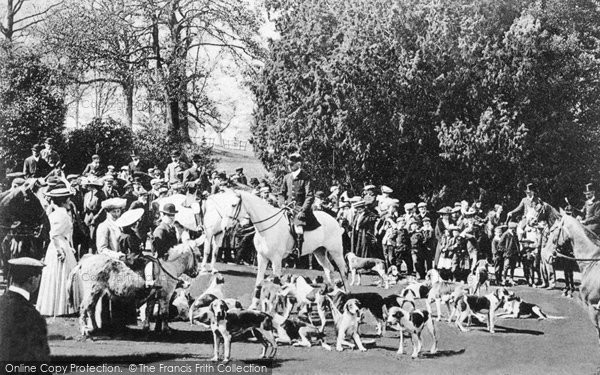 Photo of Cattistock, Fox Hounds, Coker Court 1905 6