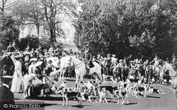 Fox Hounds, Coker Court 1905-6, Cattistock