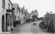 The Village 1906, Cattistock