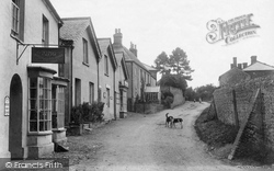 The Village 1906, Cattistock