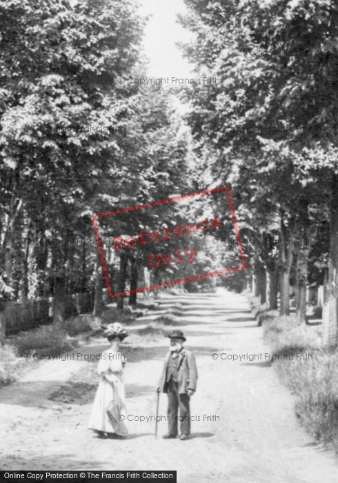 Photo of Caversham, St Peter's Avenue 1908