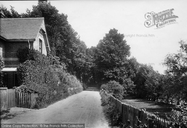 Photo of Caversham, The Warren 1904