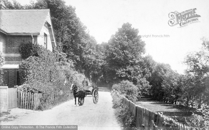 Photo of Caversham, The Warren 1904