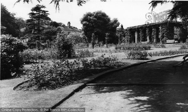 Photo of Cawthorne, Cannon Hall Gardens c.1960
