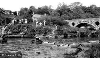 Cenarth, Sheep Dipping c1960