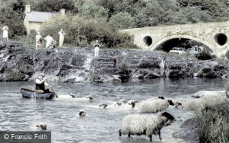 Cenarth, Sheep Dipping c1960