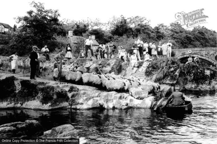 Photo of Cenarth, Sheep Dipping c.1960