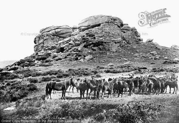Photo of Chagford, Kestor Rocks And Dartmoor Ponies 1906