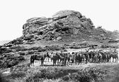 Kestor Rocks And Dartmoor Ponies 1906, Chagford