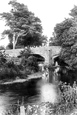 Rushford Bridge 1907, Chagford