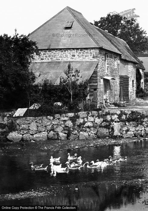 Photo of Chagford, Rushford Mill, Geese 1907