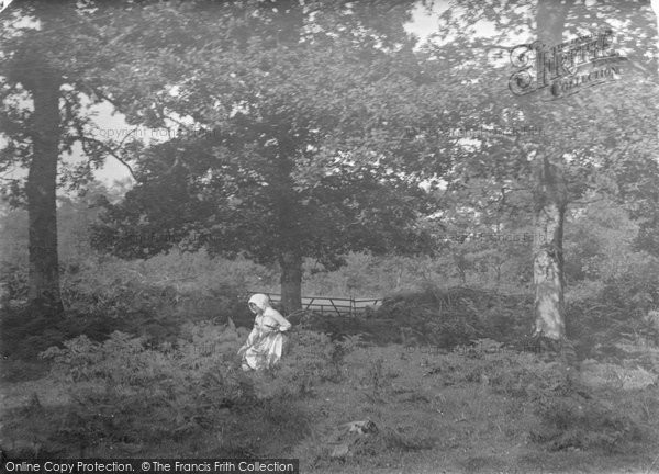 Photo of Chagford, View Above Stepping Stones, Leigh Bridge 1913