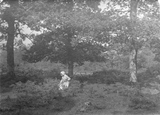 View Above Stepping Stones, Leigh Bridge 1913, Chagford