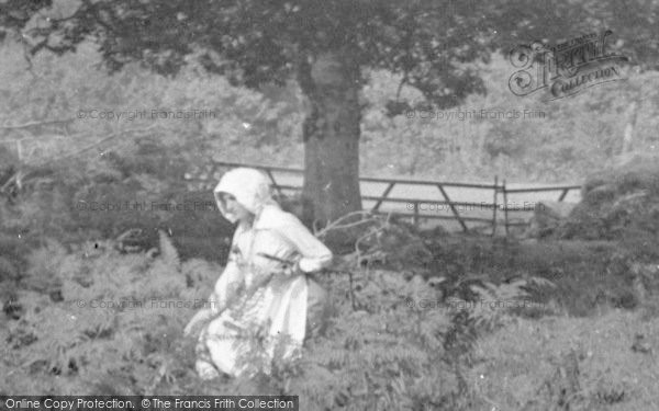 Photo of Chagford, Woman Collecting Firewood 1913