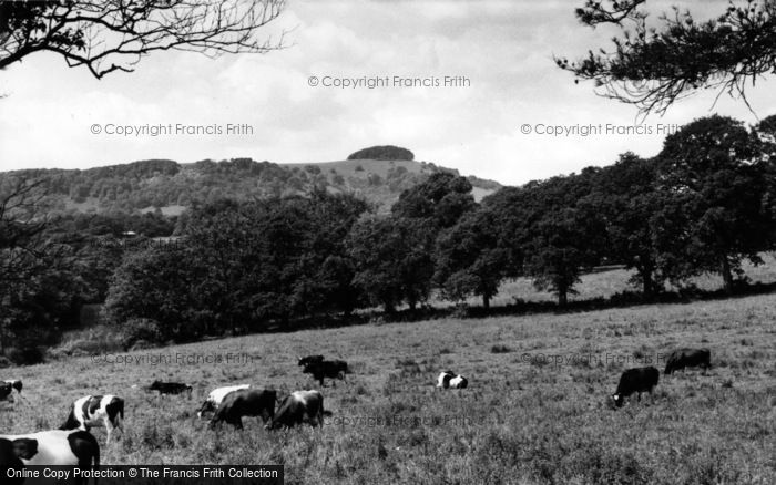 Photo of Chanctonbury Ring, c.1960