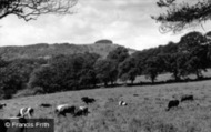 c.1960, Chanctonbury Ring