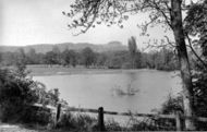 The Ring And Downs c.1955, Chanctonbury Ring