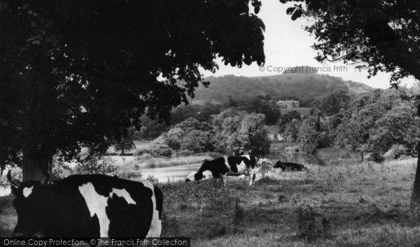 Photo of Chanctonbury Ring, The Ring And Wiston House c.1960
