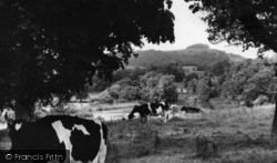 The Ring And Wiston House c.1960, Chanctonbury Ring