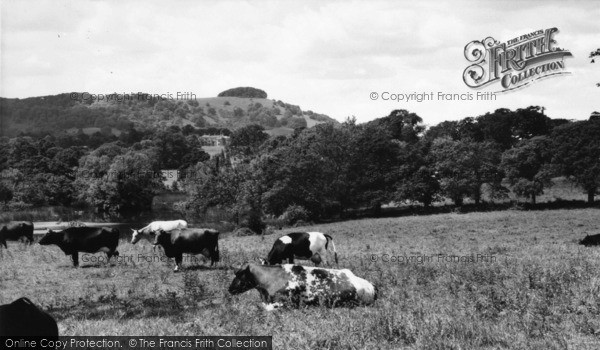 Photo of Chanctonbury Ring, The Ring And Wiston House c.1960