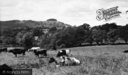 The Ring And Wiston House c.1960, Chanctonbury Ring