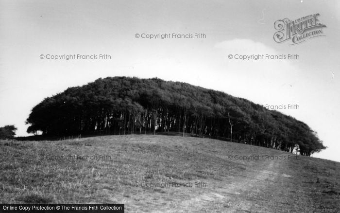 Chanctonbury Ring, the Ring c1960 Photo of Chanctonbury Ring, The Ring c.1960