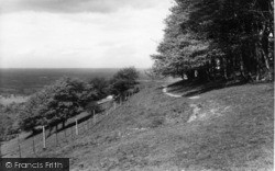 View Of The Downs c.1960, Chanctonbury Ring