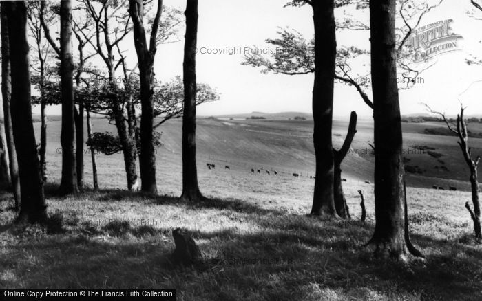 Photo of Chanctonbury Ring, View Of The Downs c.1960