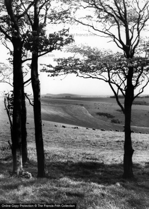 Photo of Chanctonbury Ring, View Of The Downs c.1960
