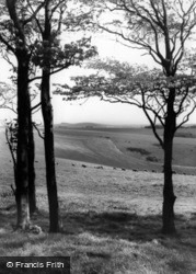 View Of The Downs c.1960, Chanctonbury Ring