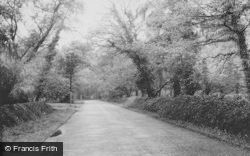 Hocombe Road c.1955, Chandler's Ford