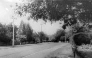 Malibres Road c.1965, Chandler's Ford