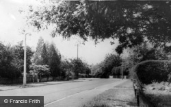 Malibres Road c.1965, Chandler's Ford