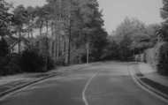 Merdon Avenue c.1955, Chandler's Ford