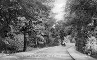 Park Road c.1955, Chandler's Ford