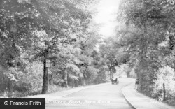 Park Road c.1955, Chandler's Ford