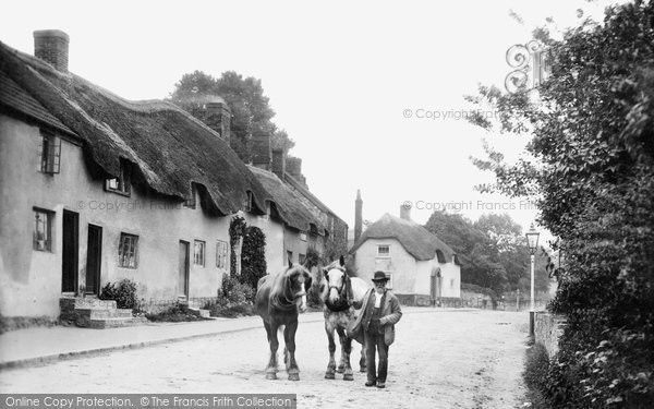 Photo of Chard, Cottages 1907